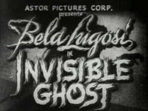 Invisible Ghost