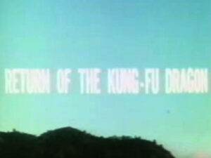 Return of the Kung Fu Dragon