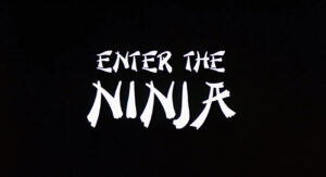 Enter the Ninja